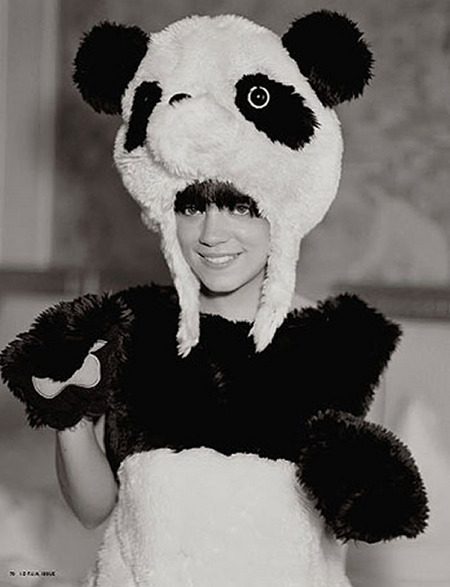 lillypanda